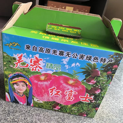 Custom Fruit Carton Boxes for Apples